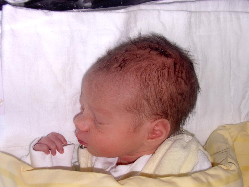 Aliz�a Sophie